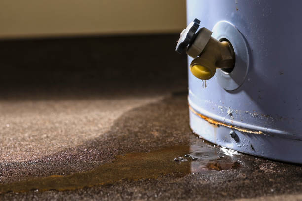 Best Water damage restoration near me  in Aberdeen, MS