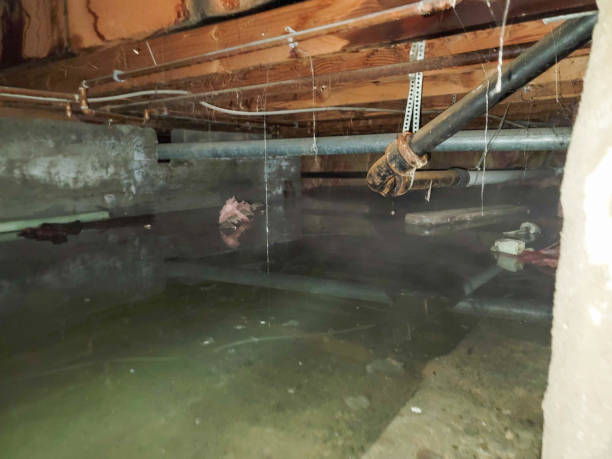 Reliable MS Water damage restoration Solutions