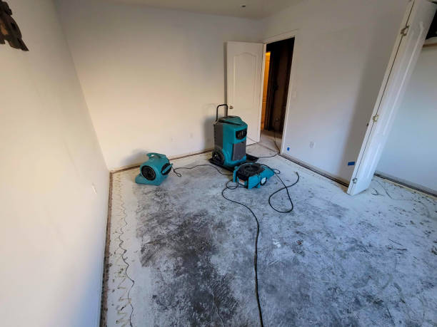 Best Water damage cleanup near me  in Aberdeen, MS