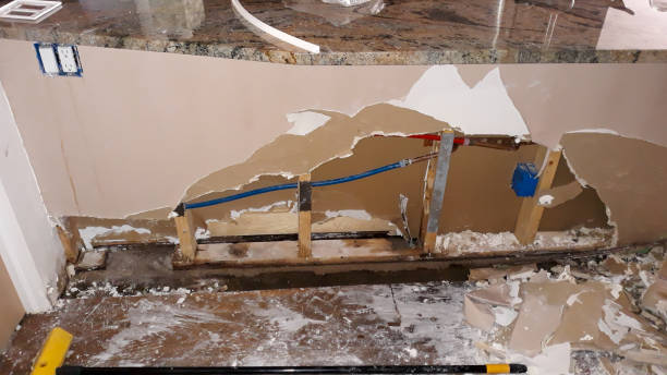 Best Flood damage cleanup  in Aberdeen, MS