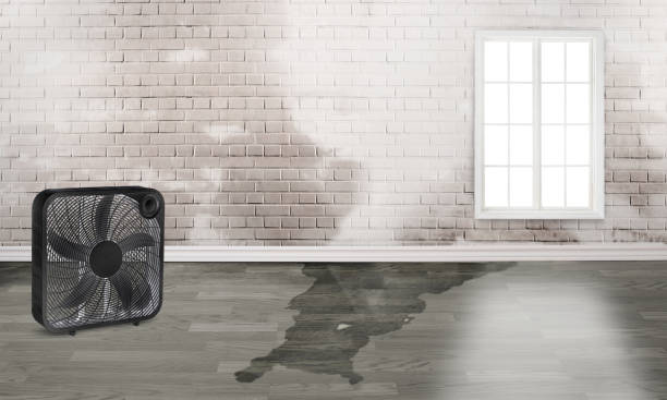Best Emergency water damage restoration  in Aberdeen, MS