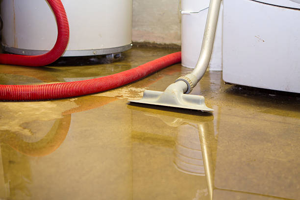 Best Flood restoration services  in Aberdeen, MS