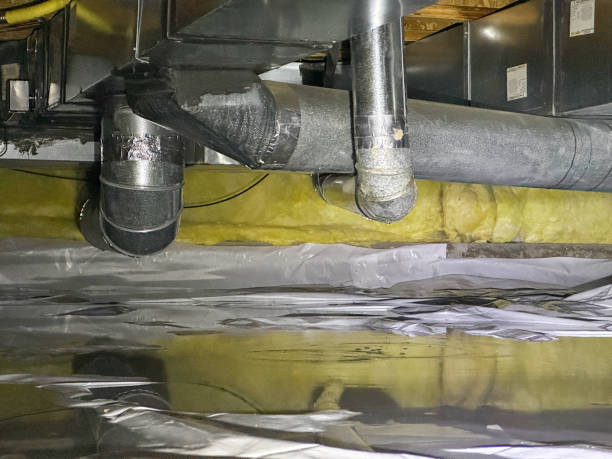 Best Flood damage cleanup  in Aberdeen, MS