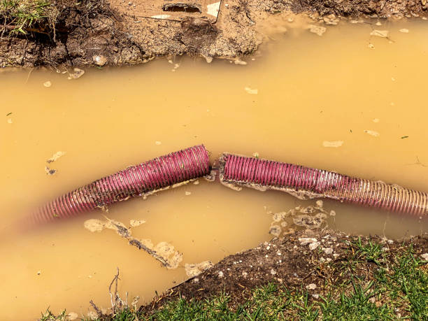 Best Water damage contractors near me  in Aberdeen, MS